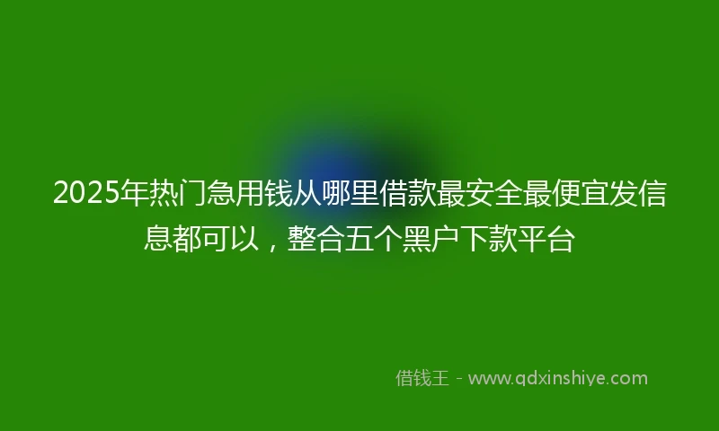 2025年热门急用钱从哪里借款最安全最便宜发信息都可以，整合五个黑户下款平台