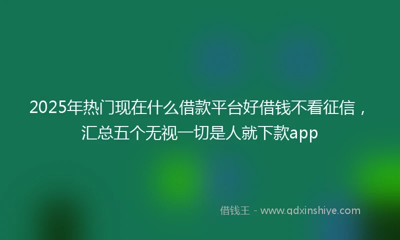 2025年热门现在什么借款平台好借钱不看征信，汇总五个无视一切是人就下款app