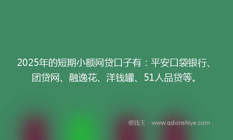 2025年的短期小额网贷口子有：平安口袋银行、团贷网、融逸花、洋钱罐、51人品贷等。
