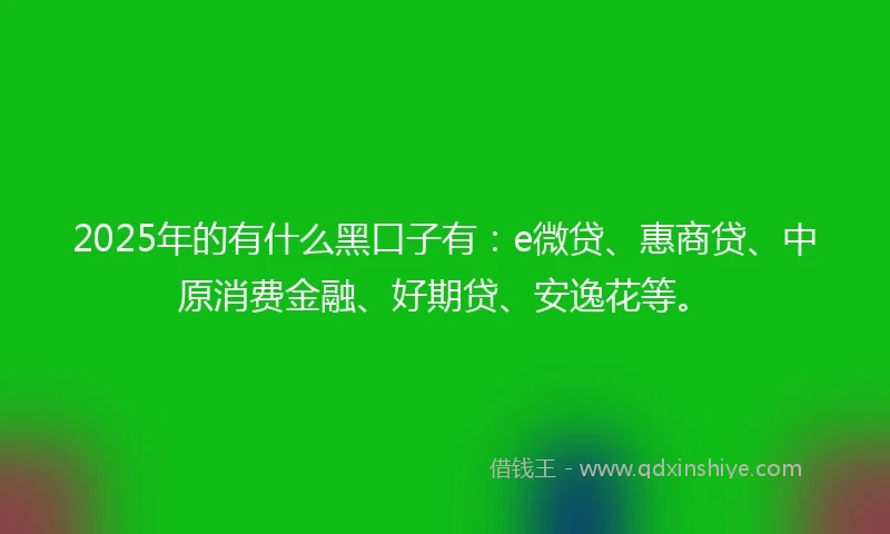 2025年的有什么黑口子有：e微贷、惠商贷、中原消费金融、好期贷、安逸花等。
