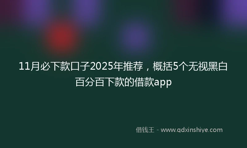 11月必下款口子2025年推荐，概括5个无视黑白百分百下款的借款app