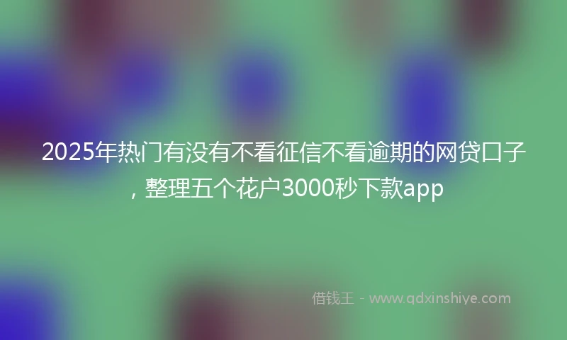 2025年热门有没有不看征信不看逾期的网贷口子，整理五个花户3000秒下款app