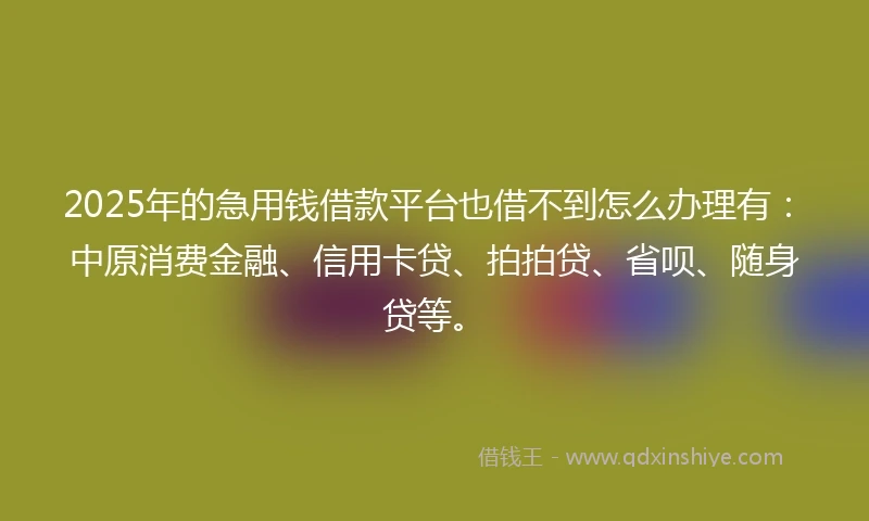 2025年的急用钱借款平台也借不到怎么办理有：中原消费金融、信用卡贷、拍拍贷、省呗、随身贷等。