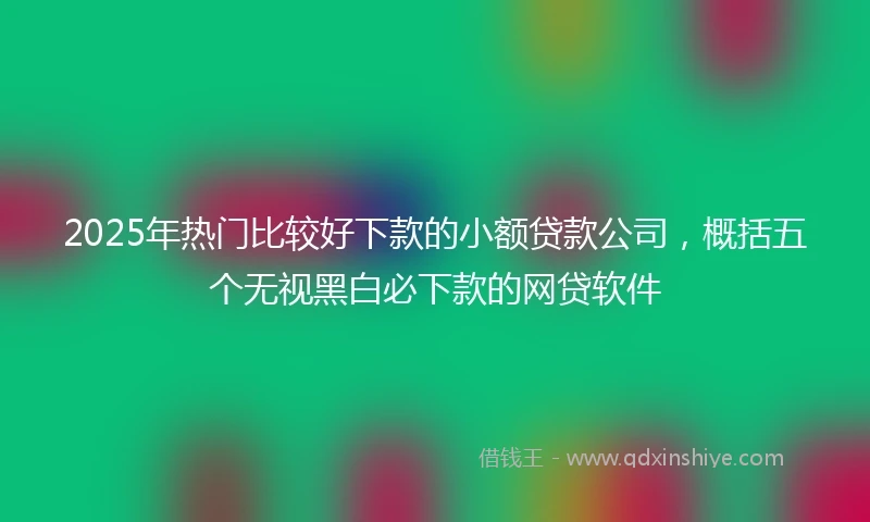 2025年热门比较好下款的小额贷款公司，概括五个无视黑白必下款的网贷软件