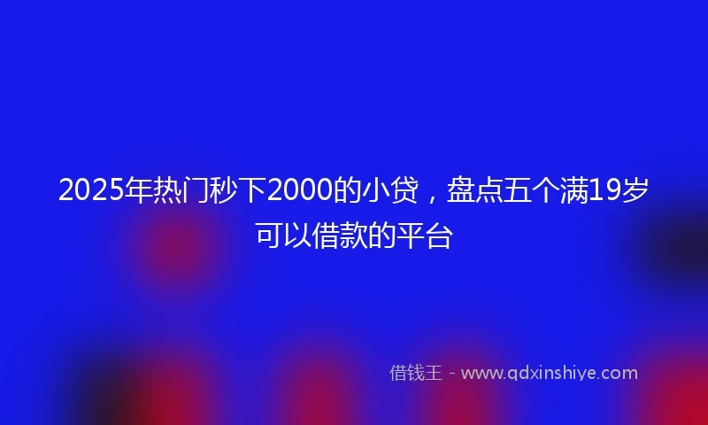 2025年热门秒下2000的小贷，盘点五个满19岁可以借款的平台