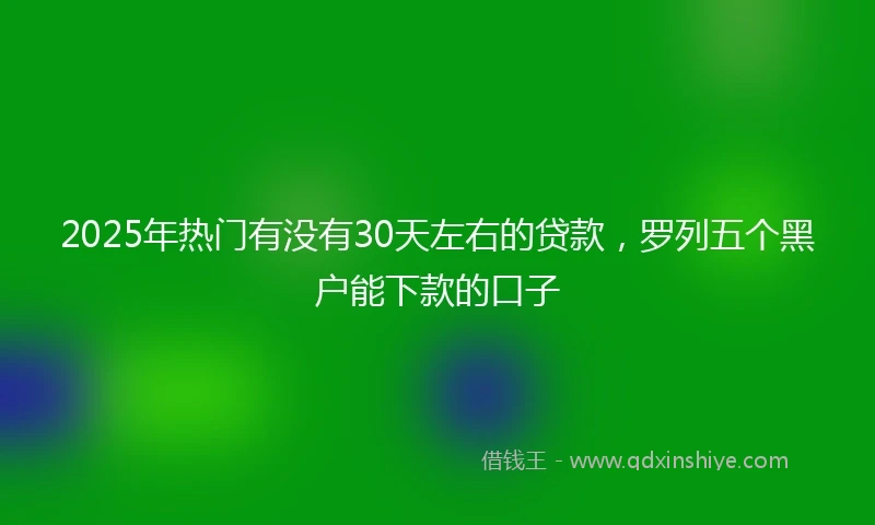 2025年热门有没有30天左右的贷款，罗列五个黑户能下款的口子