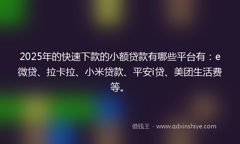 2025年的快速下款的小额贷款有哪些平台有：e微贷、拉卡拉、小米贷款、平安i贷、美团生活费等。