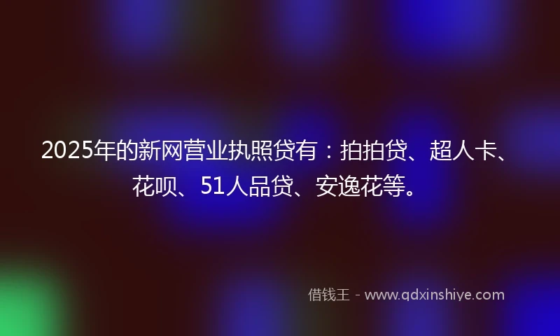 2025年的新网营业执照贷有：拍拍贷、超人卡、花呗、51人品贷、安逸花等。