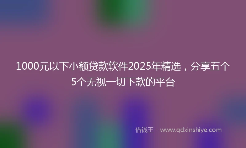 1000元以下小额贷款软件2025年精选，分享五个5个无视一切下款的平台