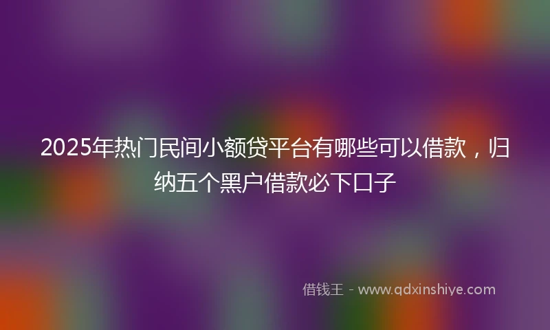 2025年热门民间小额贷平台有哪些可以借款，归纳五个黑户借款必下口子