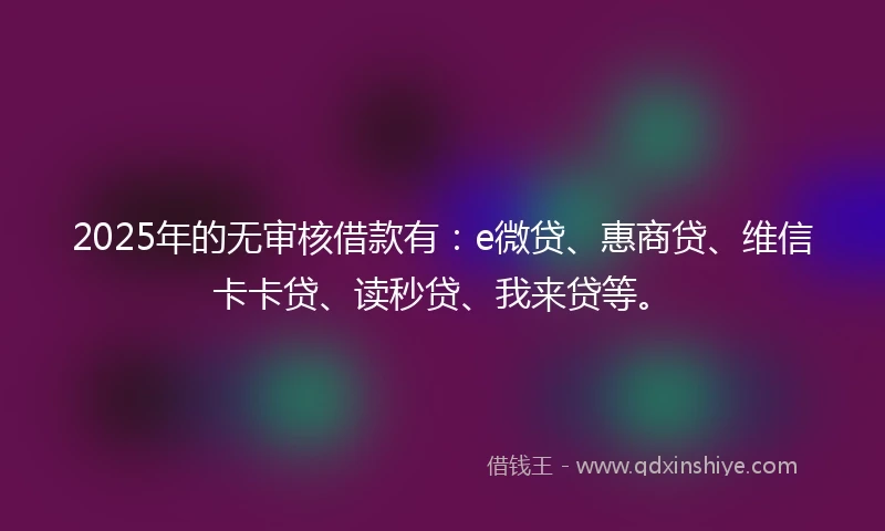 2025年的无审核借款有：e微贷、惠商贷、维信卡卡贷、读秒贷、我来贷等。
