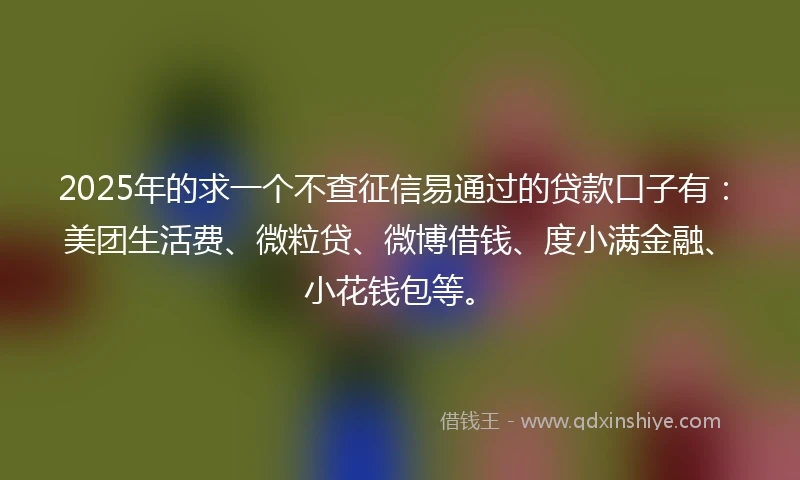 2025年的求一个不查征信易通过的贷款口子有：美团生活费、微粒贷、微博借钱、度小满金融、小花钱包等。
