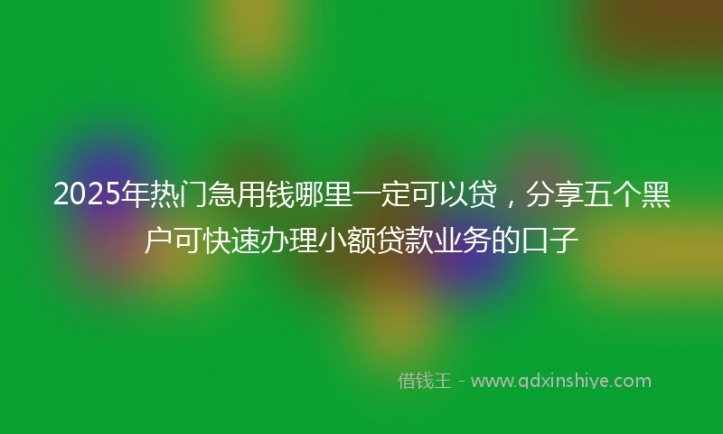 2025年热门急用钱哪里一定可以贷，分享五个黑户可快速办理小额贷款业务的口子