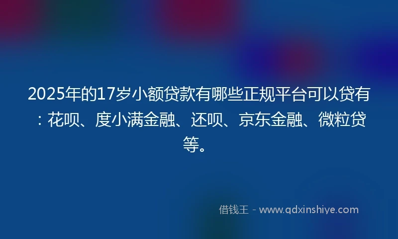 2025年的17岁小额贷款有哪些正规平台可以贷有:花呗、度小满金融、还呗、京东金融、微粒贷等。
