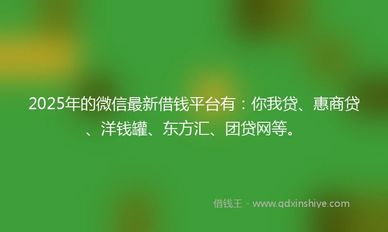 2025年的微信最新借钱平台有：你我贷、惠商贷、洋钱罐、东方汇、团贷网等。