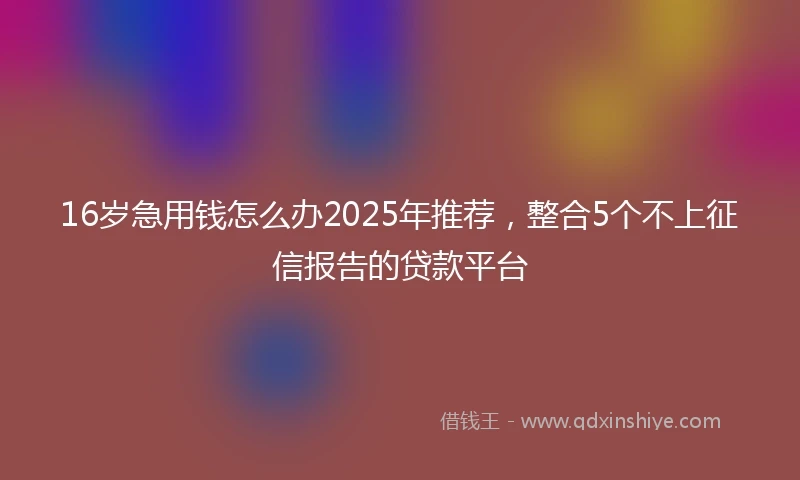 16岁急用钱怎么办2025年推荐，整合5个不上征信报告的贷款平台