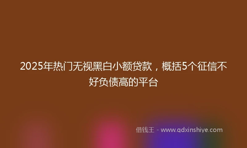 2025年热门无视黑白小额贷款，概括5个征信不好负债高的平台