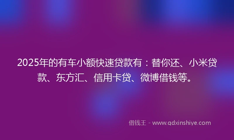 2025年的有车小额快速贷款有：替你还、小米贷款、东方汇、信用卡贷、微博借钱等。