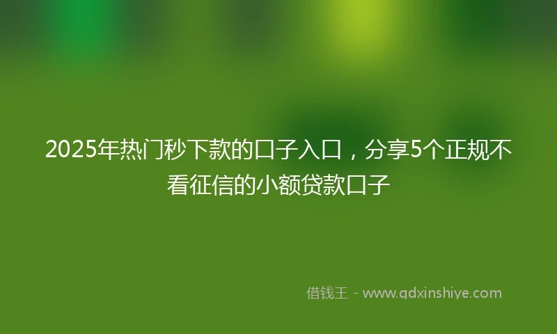 2025年热门秒下款的口子入口，分享5个正规不看征信的小额贷款口子