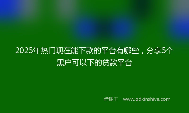 2025年热门现在能下款的平台有哪些，分享5个黑户可以下的贷款平台