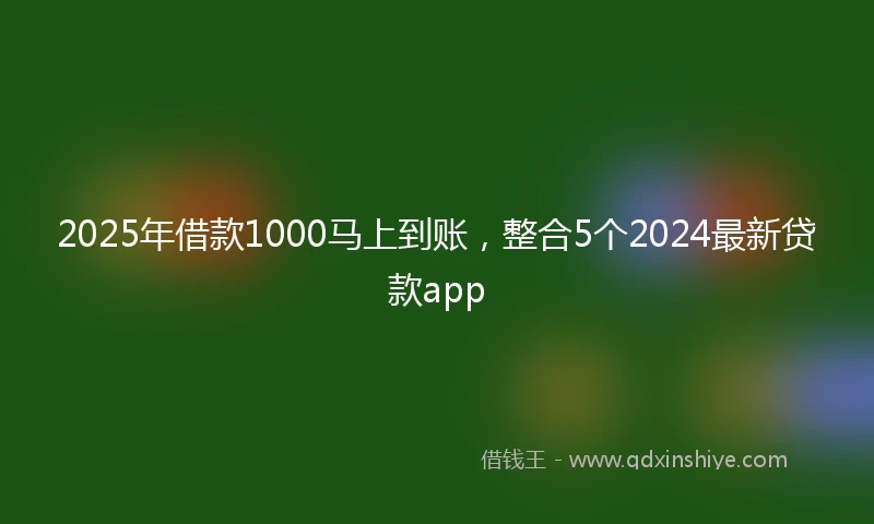 2025年借款1000马上到账，整合5个2024最新贷款app