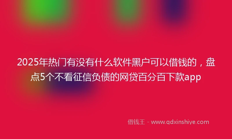 2025年热门有没有什么软件黑户可以借钱的，盘点5个不看征信负债的网贷百分百下款app