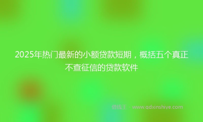 2025年热门最新的小额贷款短期，概括五个真正不查征信的贷款软件