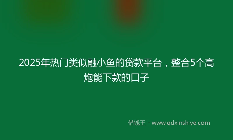 2025年热门类似融小鱼的贷款平台，整合5个高炮能下款的口子