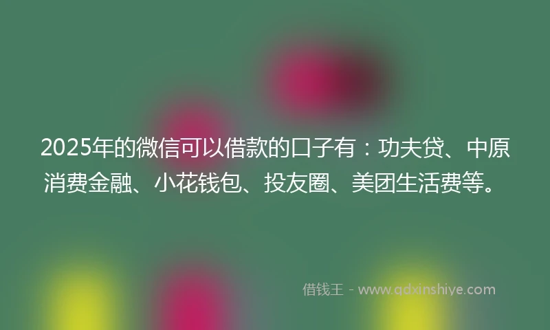 2025年的微信可以借款的口子有：功夫贷、中原消费金融、小花钱包、投友圈、美团生活费等。