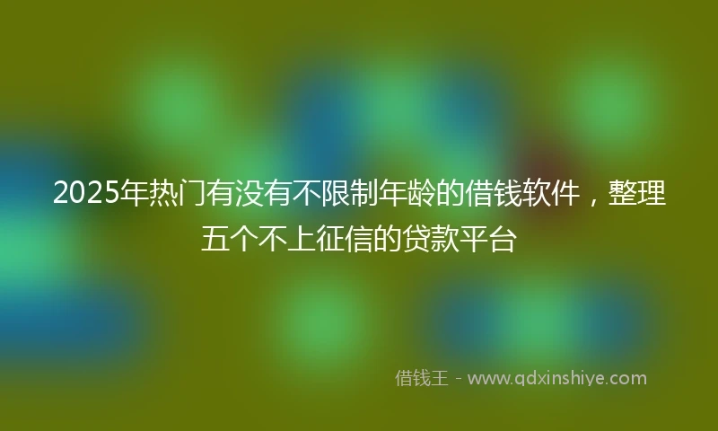 2025年热门有没有不限制年龄的借钱软件，整理五个不上征信的贷款平台