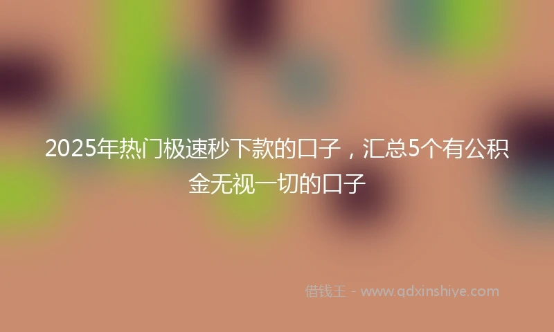 2025年热门极速秒下款的口子，汇总5个有公积金无视一切的口子
