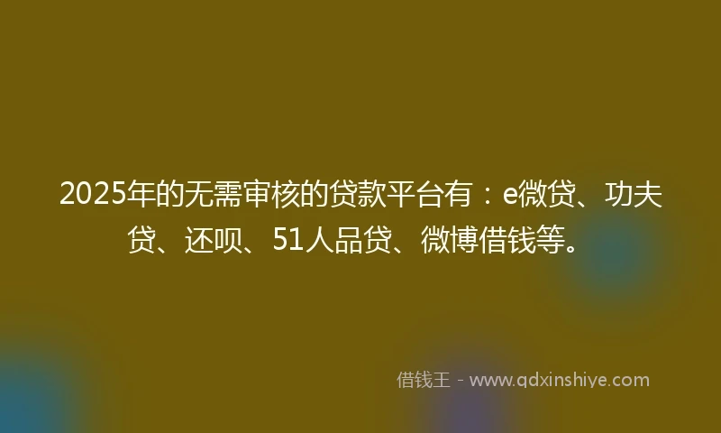 2025年的无需审核的贷款平台有：e微贷、功夫贷、还呗、51人品贷、微博借钱等。