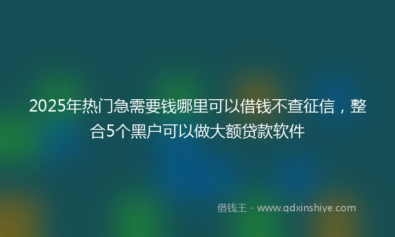 2025年热门急需要钱哪里可以借钱不查征信，整合5个黑户可以做大额贷款软件