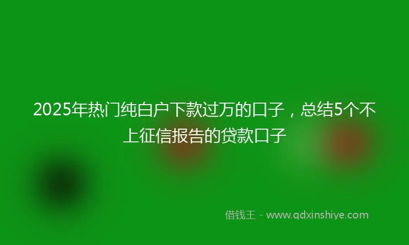 2025年热门纯白户下款过万的口子，总结5个不上征信报告的贷款口子