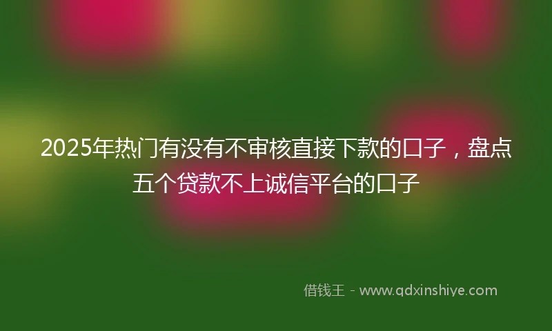 2025年热门有没有不审核直接下款的口子，盘点五个贷款不上诚信平台的口子