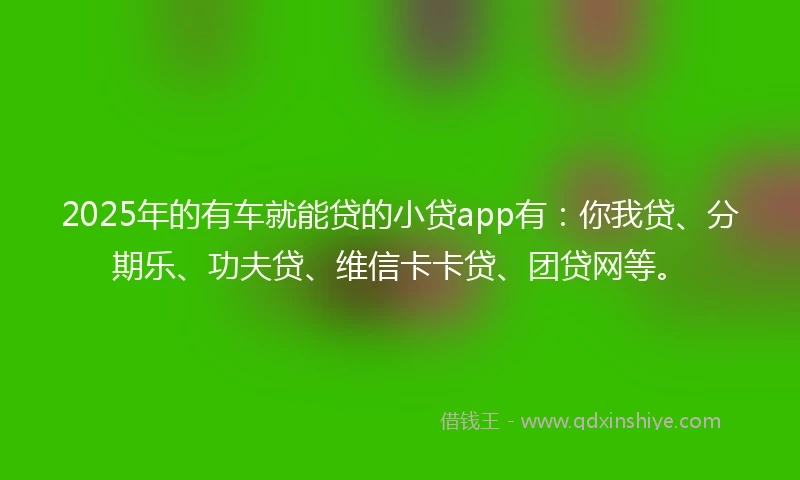 2025年的有车就能贷的小贷app有：你我贷、分期乐、功夫贷、维信卡卡贷、团贷网等。