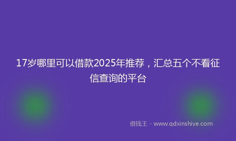 17岁哪里可以借款2025年推荐，汇总五个不看征信查询的平台
