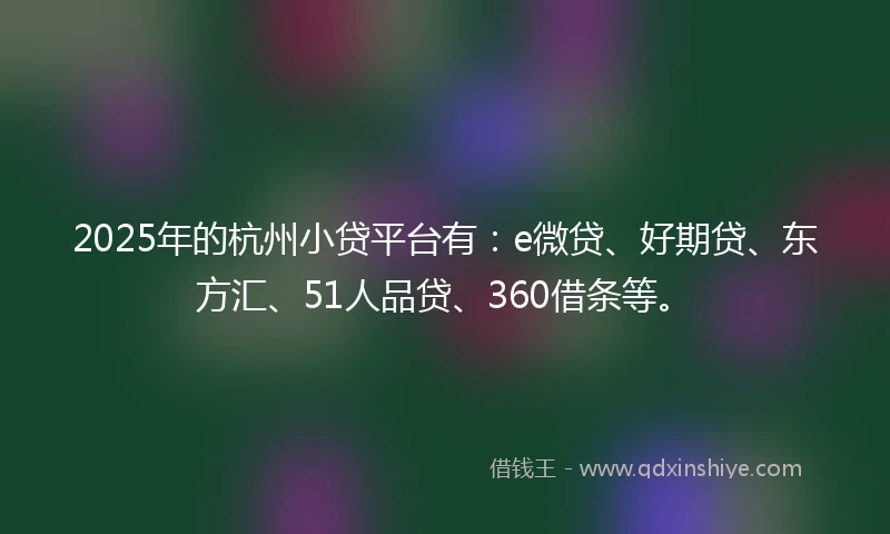 2025年的杭州小贷平台有：e微贷、好期贷、东方汇、51人品贷、360借条等。