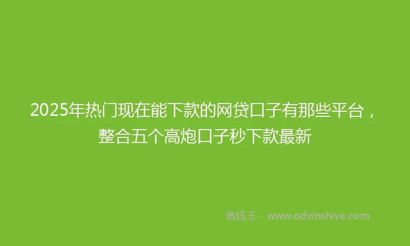 2025年热门现在能下款的网贷口子有那些平台,整合五个高炮口子秒下款最新