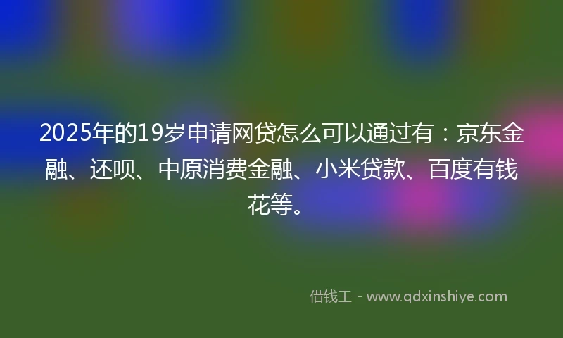2025年的19岁申请网贷怎么可以通过有：京东金融、还呗、中原消费金融、小米贷款、百度有钱花等。
