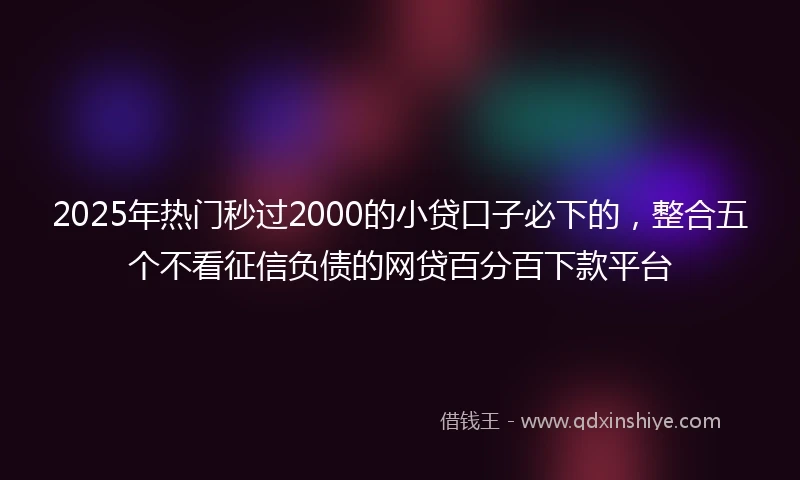 2025年热门秒过2000的小贷口子必下的，整合五个不看征信负债的网贷百分百下款平台