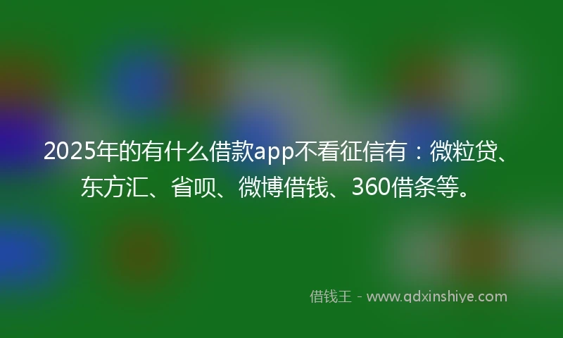 2025年的有什么借款app不看征信有：微粒贷、东方汇、省呗、微博借钱、360借条等。