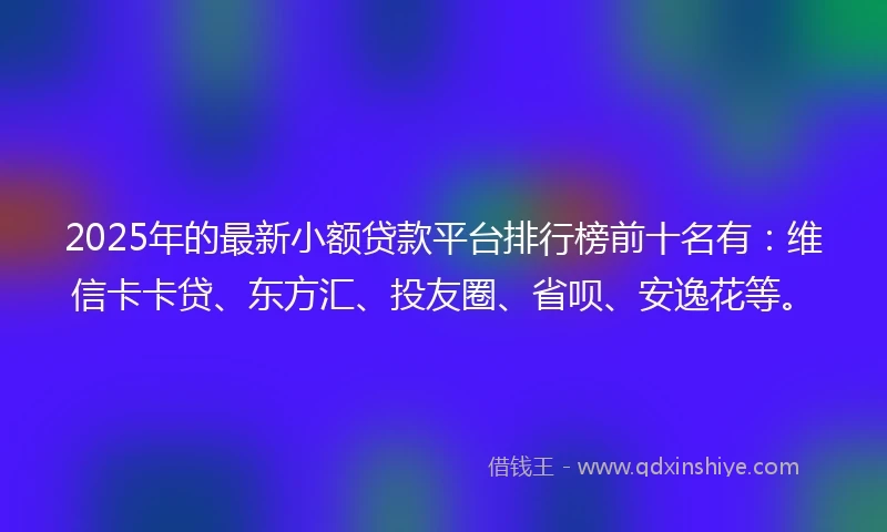 2025年的最新小额贷款平台排行榜前十名有：维信卡卡贷、东方汇、投友圈、省呗、安逸花等。