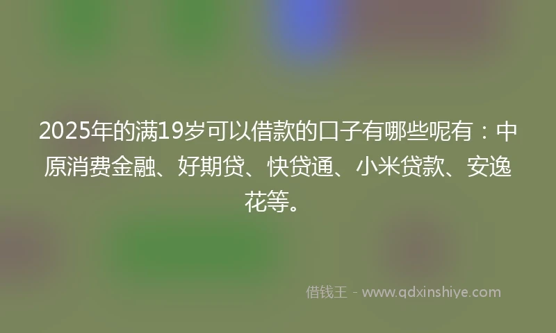 2025年的满19岁可以借款的口子有哪些呢有：中原消费金融、好期贷、快贷通、小米贷款、安逸花等。