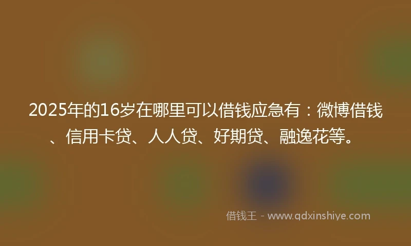 2025年的16岁在哪里可以借钱应急有：微博借钱、信用卡贷、人人贷、好期贷、融逸花等。