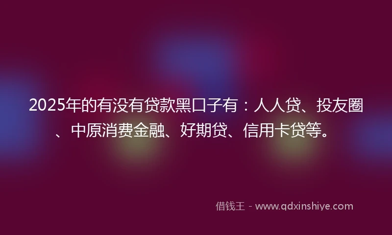 2025年的有没有贷款黑口子有：人人贷、投友圈、中原消费金融、好期贷、信用卡贷等。