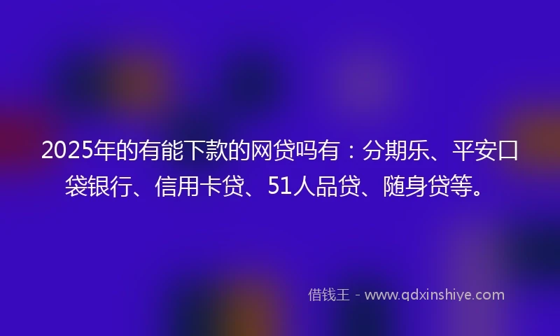 2025年的有能下款的网贷吗有：分期乐、平安口袋银行、信用卡贷、51人品贷、随身贷等。