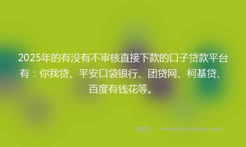 2025年的有没有不审核直接下款的口子贷款平台有：你我贷、平安口袋银行、团贷网、柯基贷、百度有钱花等。