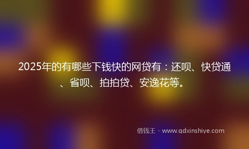 2025年的有哪些下钱快的网贷有：还呗、快贷通、省呗、拍拍贷、安逸花等。