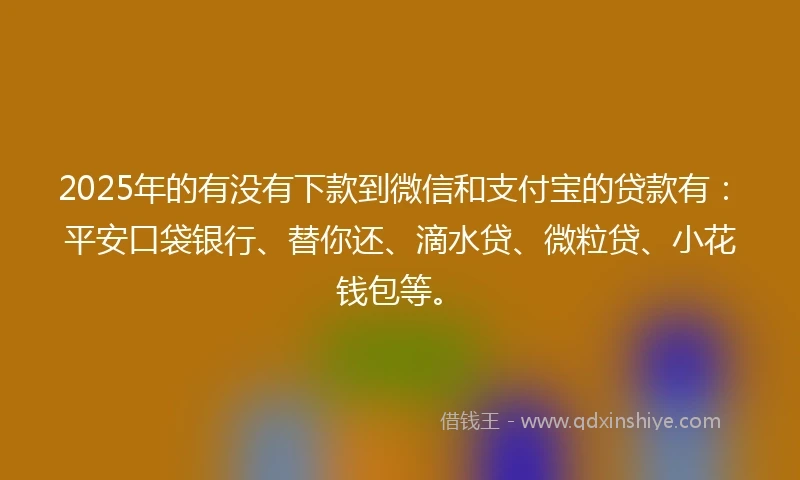 2025年的有没有下款到微信和支付宝的贷款有：平安口袋银行、替你还、滴水贷、微粒贷、小花钱包等。